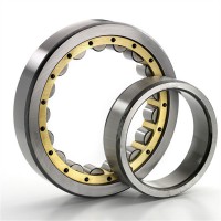  Cylindrical Roller Bearing  NF NN NNU series